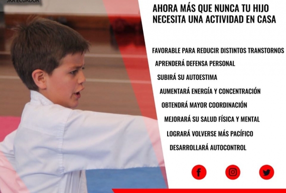 Clases en línea desde tu Dojo